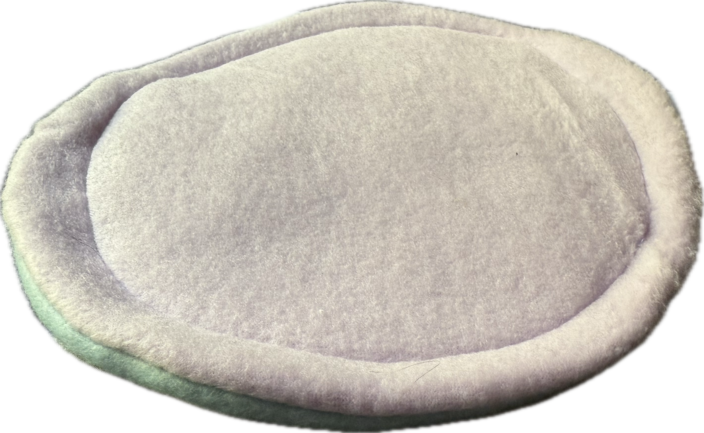 Reversible Pee Pad (Planet Guinea)