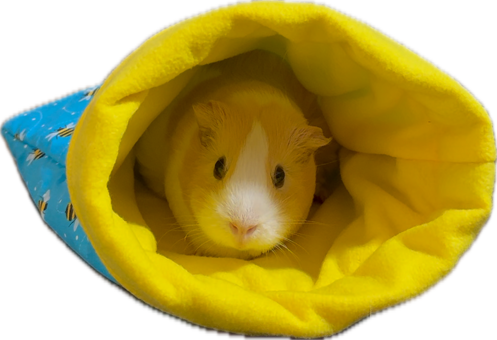 Bee Cozy Cuddle Sack