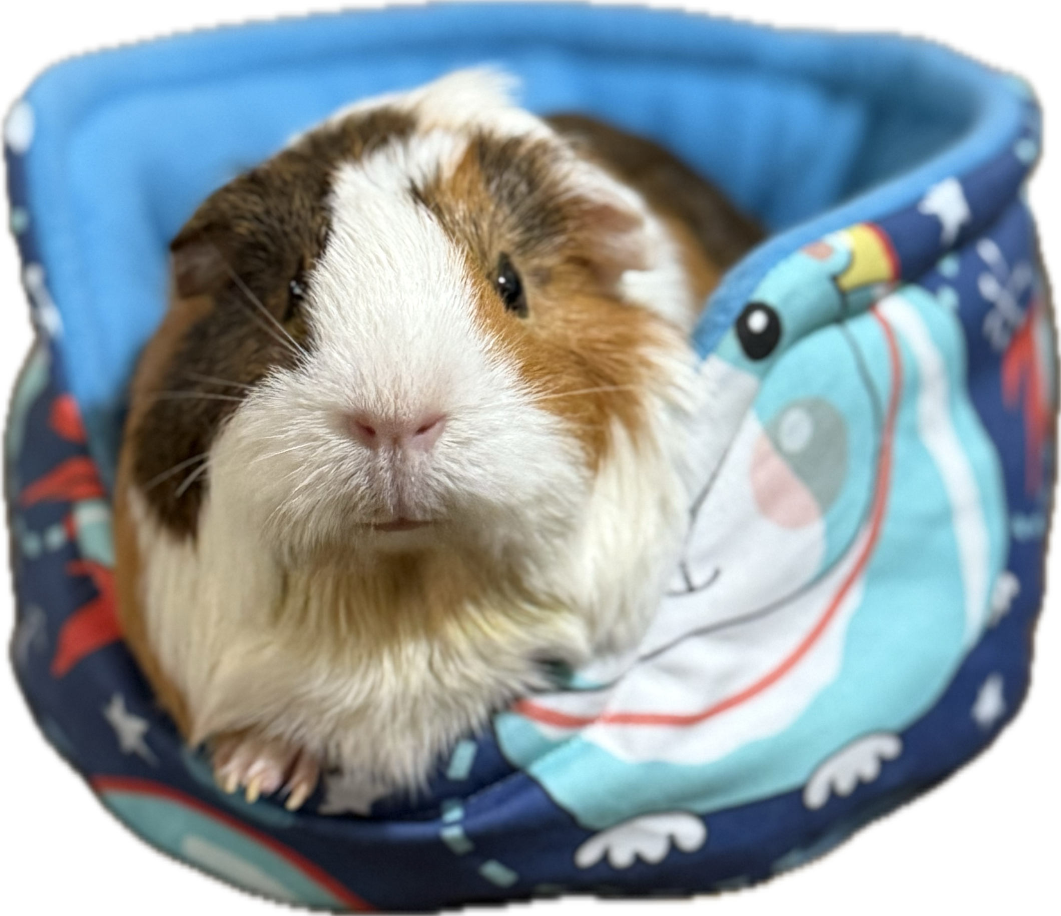 SpacePigs Bundle