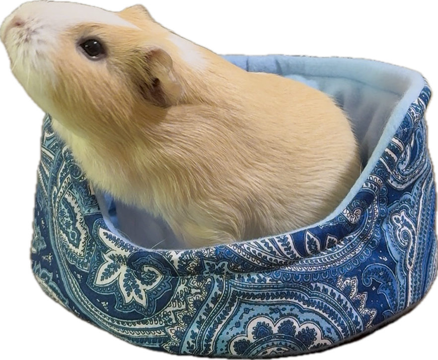 Dreamy Drift Snuggle Cup