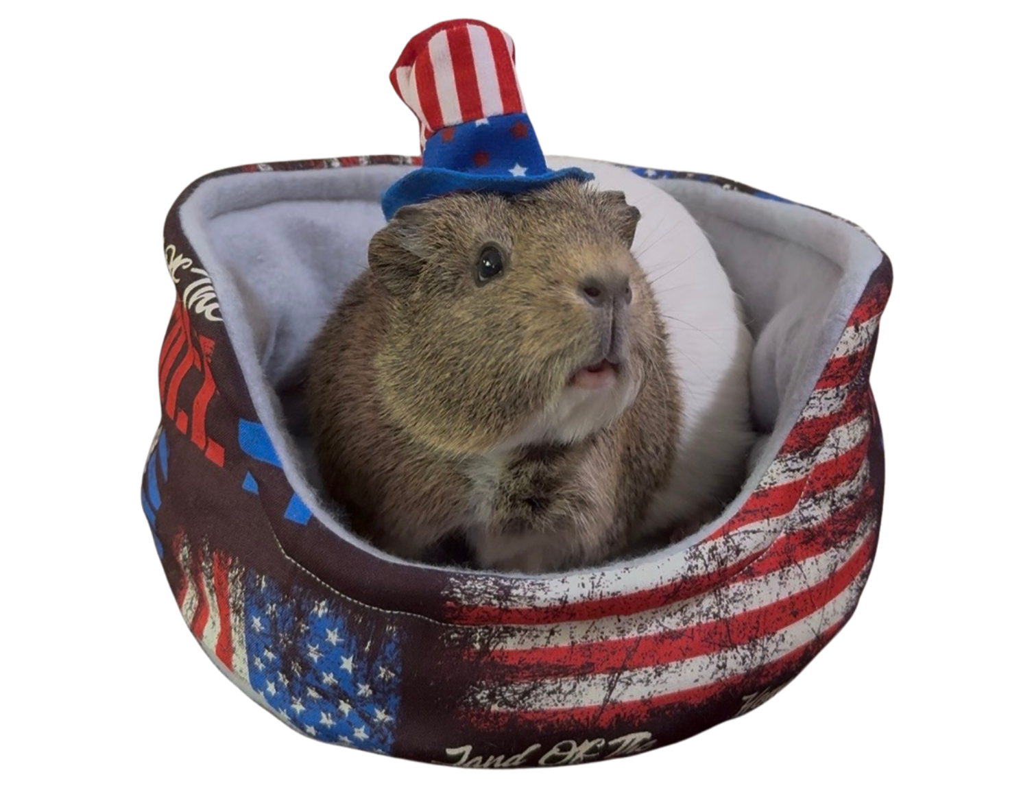 Star-Spangled Snoozies Snuggle Cup